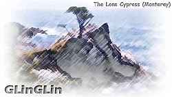 The Lone Cypress(Monterey)